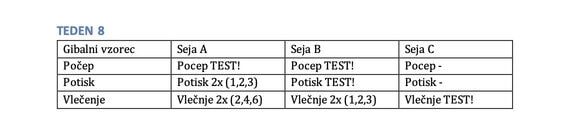 8 tedenski načrt vadbe